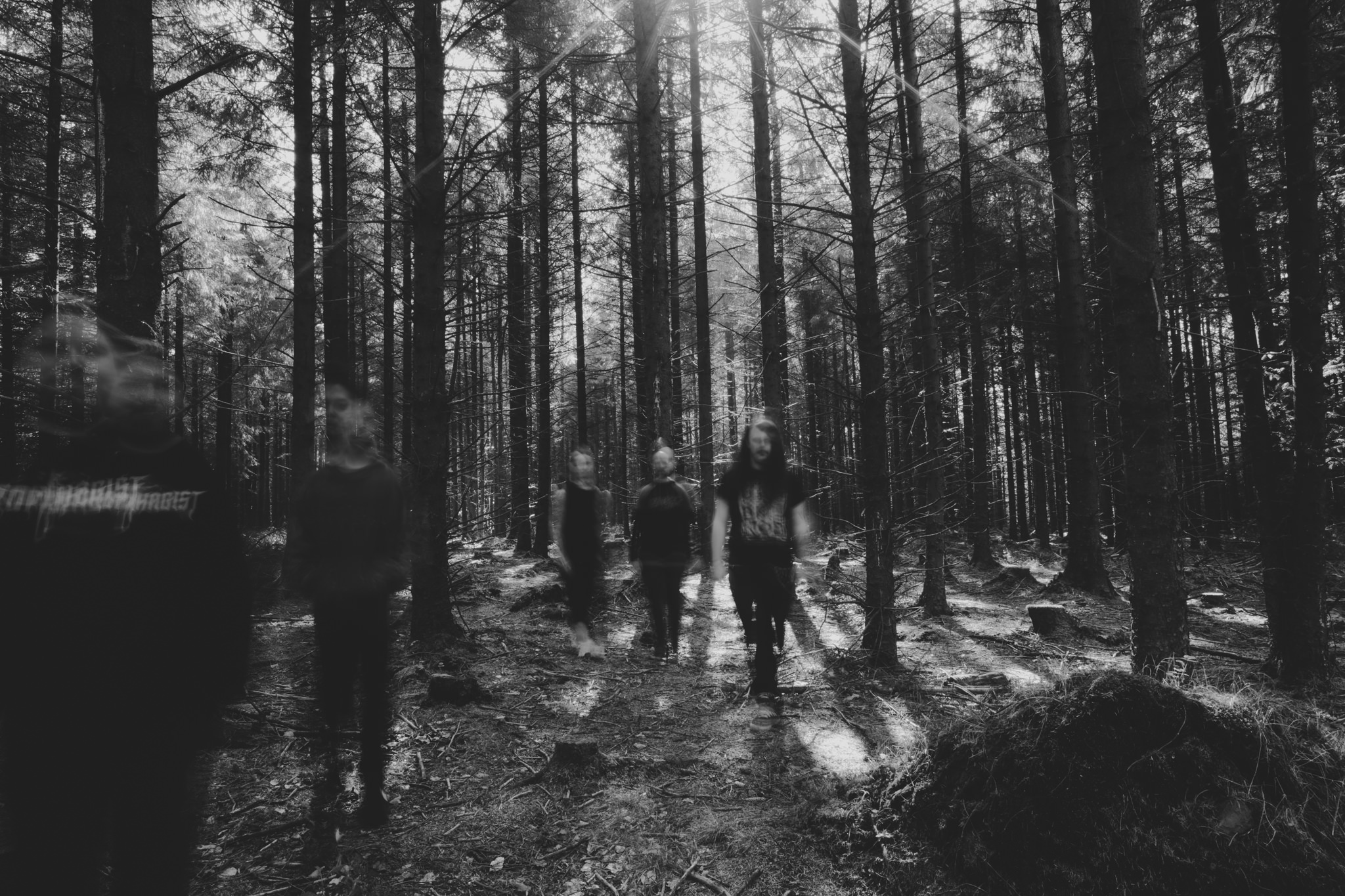 Long exposure photograph of a band in the forest