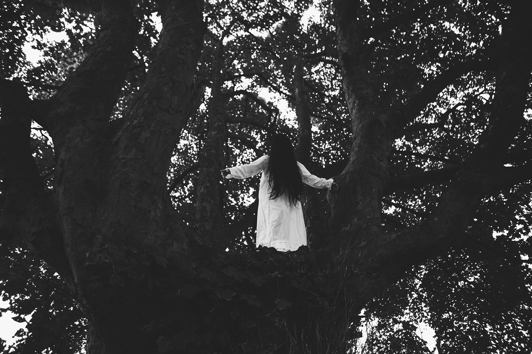 Woman in white dress with long black hair standing up in a tall tree